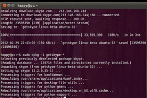 Ubuntu skype