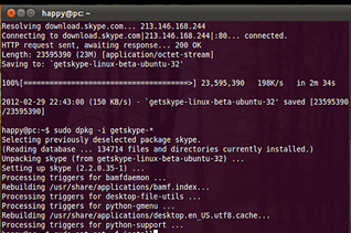 Ubuntu skype